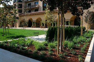 IMG_8099