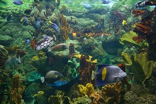 IMG_8179